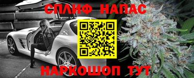 МДПВ Владимир