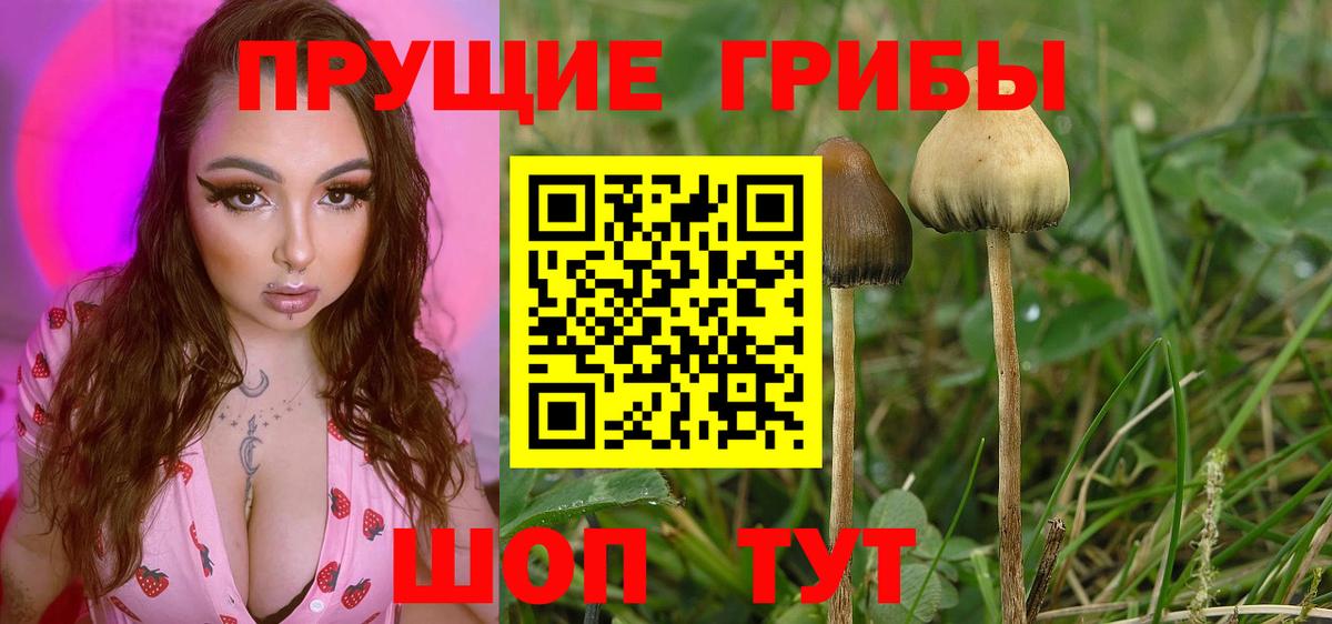 Галлюциногенные грибы Cubensis  Вход с VPN  Мариинск  Галлюциногенные грибы мухоморы 